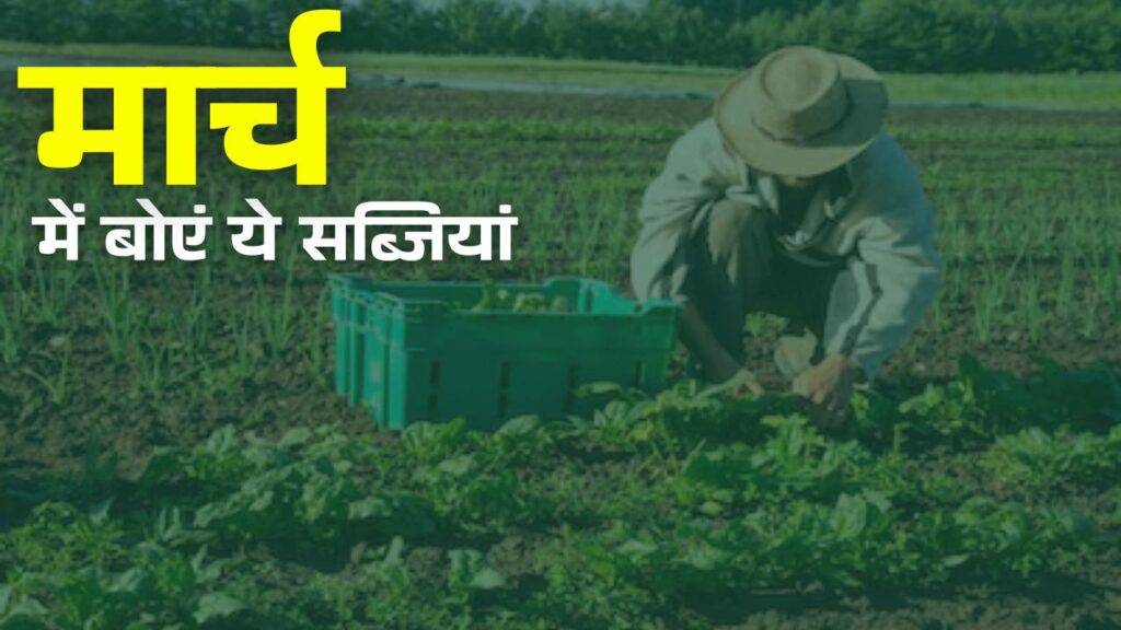 Cultivate these Vegetables