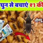 गेहूं को घुन से बचाने देशी तरीका.?